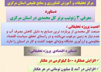 معرفی ۳ ژنوتیپ برتر گل محمدی در استان مرکزی