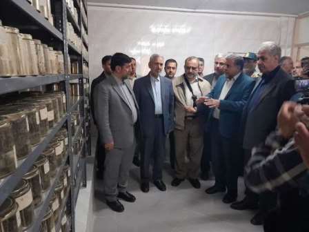 بازدید سرپرست وزارت جهاد کشاورزی از پردیس تحقیقات و آموزش لوبیای خمین