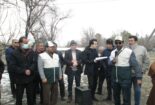 برگزاری مسابقه مهارتی هرس درختان برای نخستین بار در شهرستان تفرش به مناسبت دهه فجر با حضور محققین مرکز
