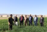 بازدید معاونت بهبود تولیدات گیاهی سازمان جهاد کشاورزی استان و هیات همراه از پروژه های تحقیقاتی در دست اجرای غلات مرکز
