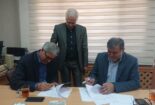 عقد قرارداد اجرای طرح تحقیقاتی کشت زیرپلاستیک لوبیا با سازمان جهاد کشاورزی استان مرکزی