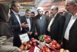 بازدید رییس کمیسیون کشاورزی و نماینده مردم ساوه در مجلس شورای اسلامی از غرفه پردیس تحقیقات و آموزش انار ساوه