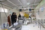 بازدید رئیس مرکز از شرکت های کشت و صنعت کیمیا اکسیر مانا و رادین صـنعت پالیز مرکزی