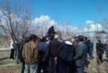 برگزاری کارگاه آموزشی هرس درختان میوه در روستای نقوسان شهرستان تفرش و روستای رازان شهرستان خمین