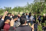 برگزاری دوره  آموزشی اصول صحیح پیوند و سرشاخه کاری درختان میوه در روستای شهرستانک شهرستان اراک