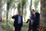 بازدید رئیس پارک علم و فناوری استان مرکزی از پروژه های تحقیقاتی و زیرساخت های پژوهشی مرکز