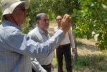 بازدید رییس مرکز از باغ گیاهشناسی زاگرس لرستان