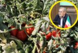 خبرگزاری مهر: غلظت نیترات محصولات کشاورزی کشور در محدوده ایمن