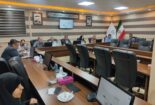 برگزاری جلسه کمیته محققین معین استان مرکزی