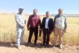 بازدید سرپرست مرکز از فعالیت‌های پژوهشی و تولیدی پردیس تحقیقات و آموزش لوبیای خمین