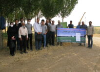 روز انتقال یافته های تحقیقاتی صنوبر درمزرعه تحقیقاتی صنوبر مرکزتحقیقات و آموزش کشاورزی و منابع طبیعی استان مرکزی برگزار گردید