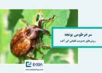 معرفی و مدیریت مهمترین آفات یونجه