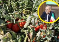 خبرگزاری مهر: غلظت نیترات محصولات کشاورزی کشور در محدوده ایمن