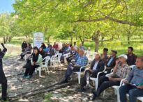 دوره  آموزشی مدیریت تلفیقی کنترل آفت کرم خراط در باغات گردو در روستای قلعه منصوریه  شهرستان تفرش